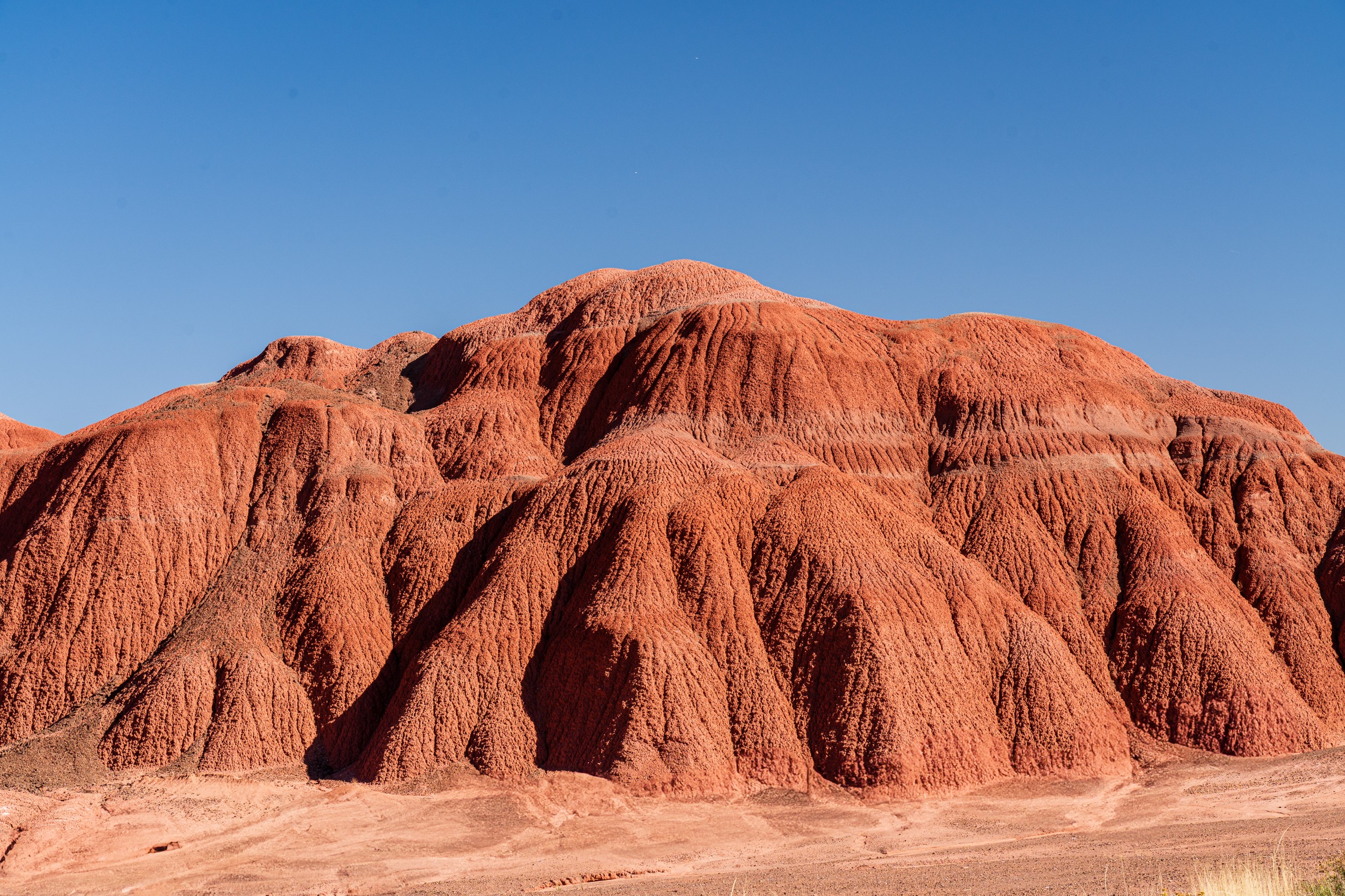 USA 2024 5 Sterne 84